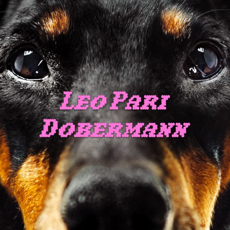 “DOBERMANN”È IL NUOVO SINGOLO DI LEO PARI