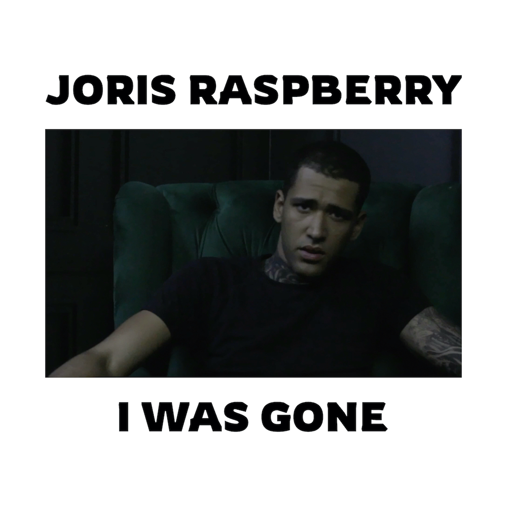 joris-raspberry-i-was-gone